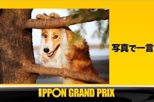 Featured image for 大悟「IPPON グランプリ」決勝進出